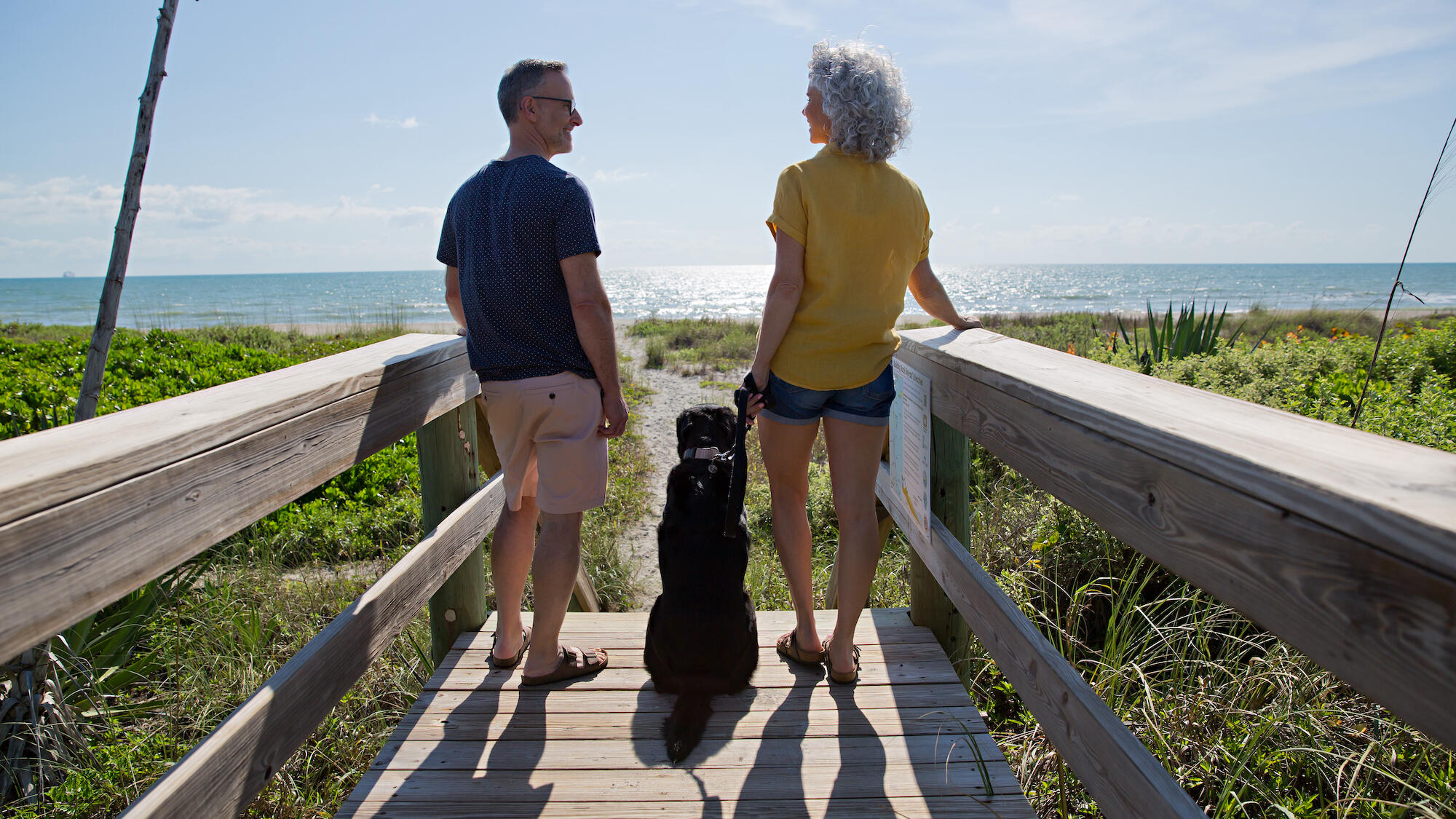 Man and woman with their dog looking at the beach